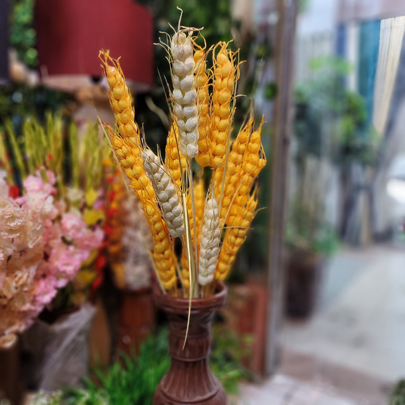 Wheat Stick